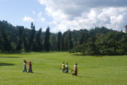 Gärtnerinnen, Botanischer Garten, Kandy