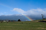 Regenbogen