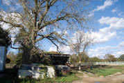 Twin Springs Farm