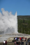 Old Faithful