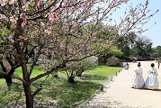 Changgyeonggung Palace, Seoul